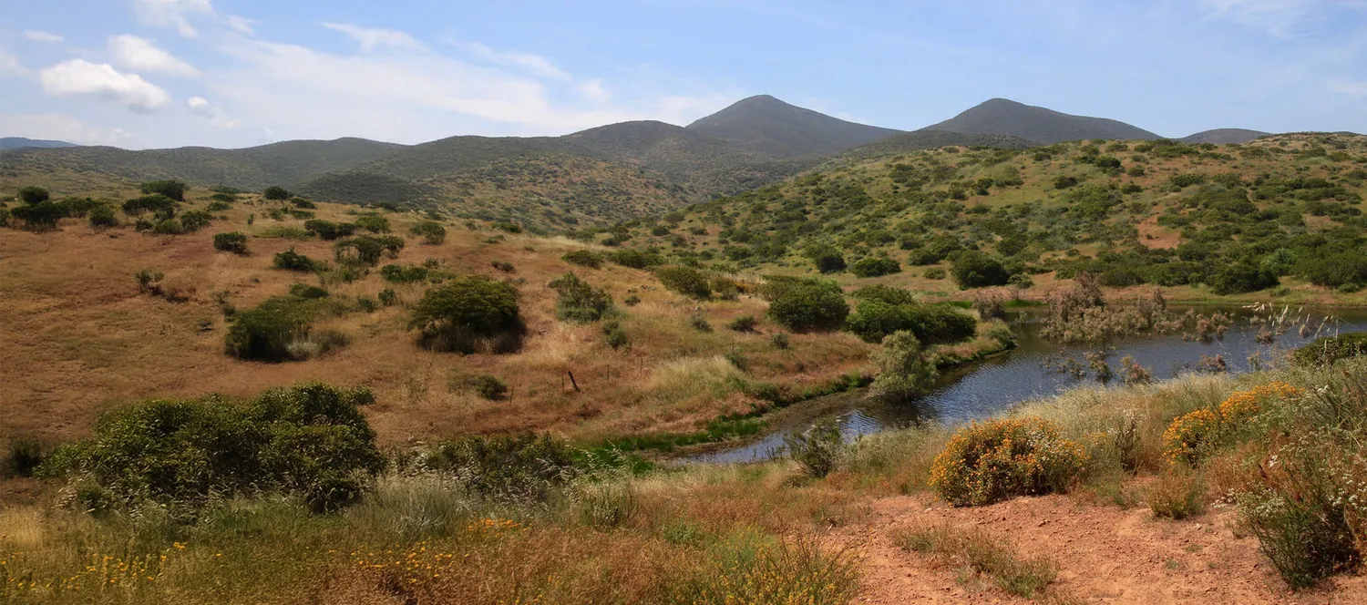 Jamul